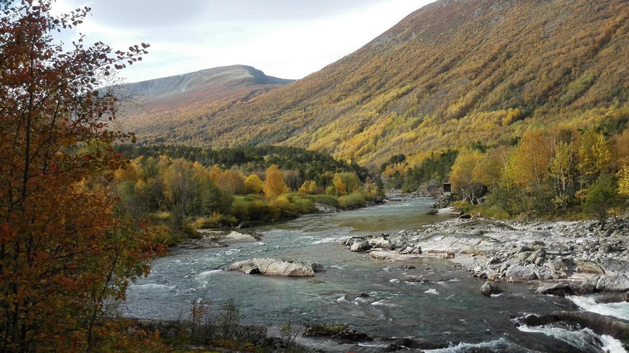 Driva Hytter Oppdal Kültér fotó